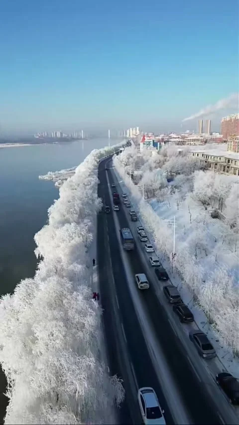 Vertical Aerial Pull-away View of Infinite Rime Ice Forest Video stock 327999108