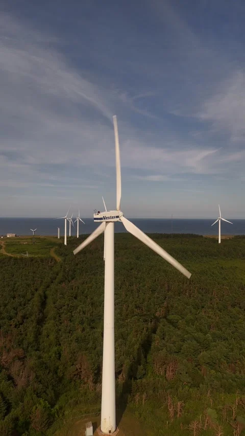 Vertical Aerial Push Toward Wind Turbine, North Cape PEI Forest Stock Footage 341363232
