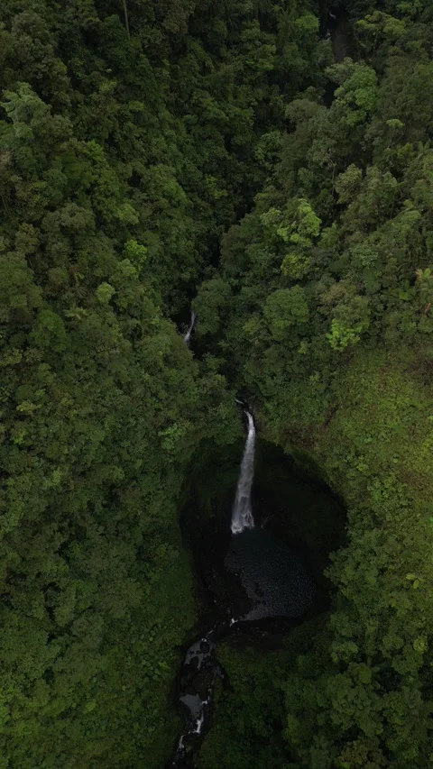 Vertical aerial of Quebrada Gata waterfall on Rio Toro in Costa Rica Stock Footage 330215113