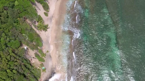 Vertical Aerial Reef &amp; Surf Break from Beach Edge – Tartane, Martinique Stock Footage 318250703