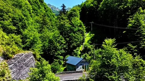 Vertical aerial rise over dense forest and mountain road near Col d'Aubisque Stock Footage 341537161