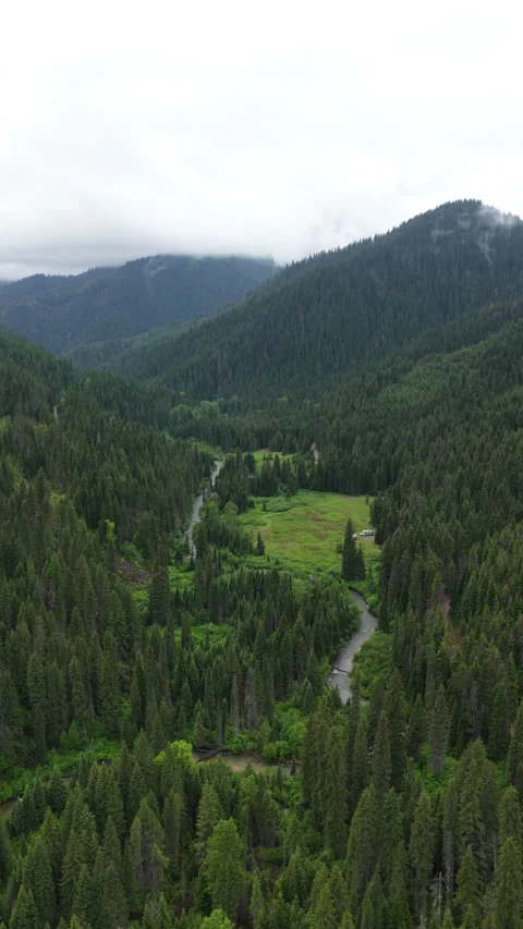 Vertical aerial of RVs camped in St Joe Mountains near Wallace Idaho in spring Stock Footage 335965630