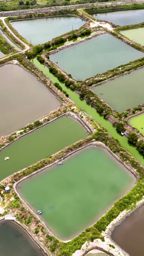 Vertical aerial shot of fish ponds along the coast of Taiwan Stock Footage 337435583
