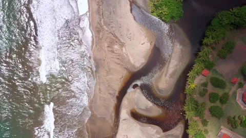 Vertical Aerial Shot of River Flowing into Sea – Coastal Estuary in Martinique Stock Footage 317564468