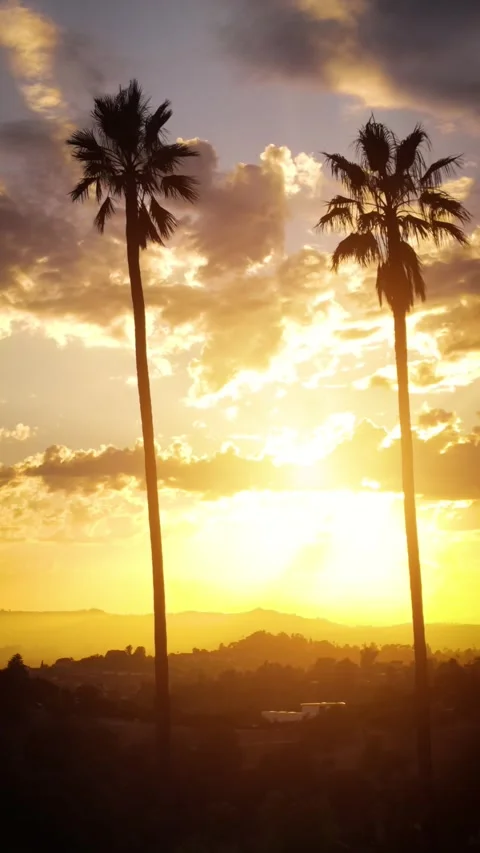 Vertical Aerial shot of sunset clouds and palm trees Vídeo Stock 285350705
