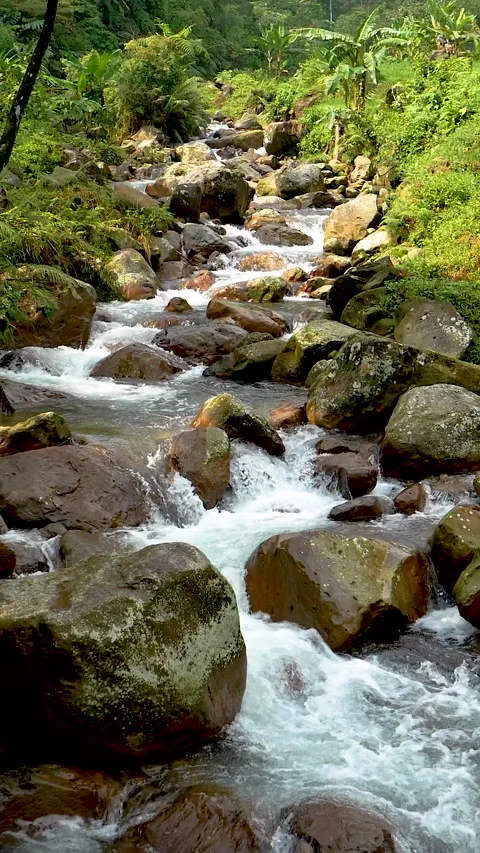 Vertical Aerial Stream Flowing Through Forest Boulders Stock Footage 329012798