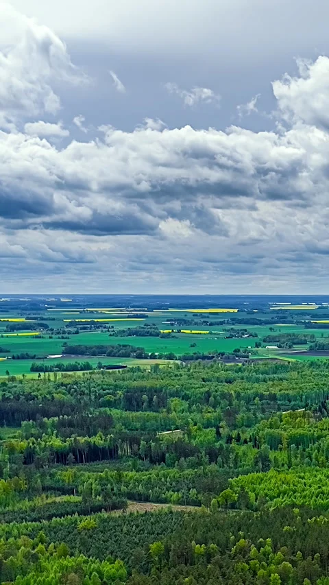 Vertical aerial timelapse of fast moving clouds over patchwork green fields and 스톡 동영상 333856334