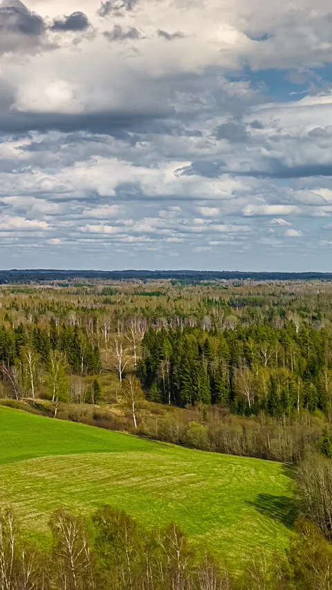 Vertical aerial timelapse white clouds rolling over green forest clearing in Stock Footage 333437224