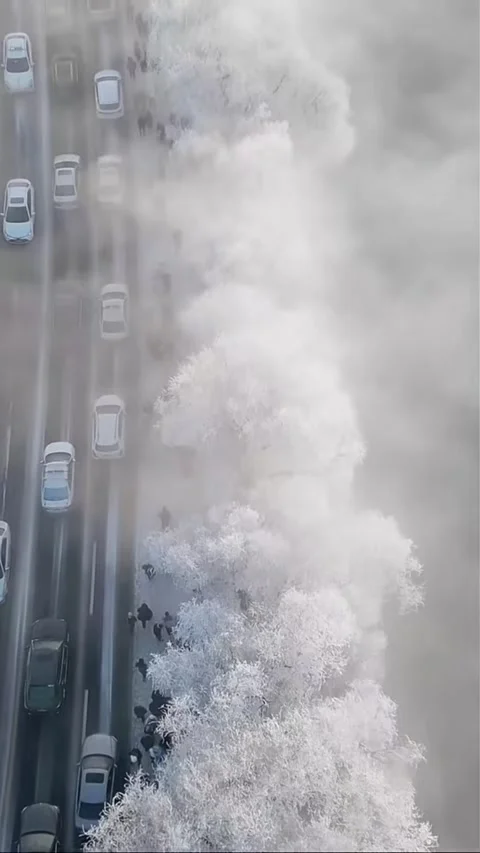 Vertical Aerial Top-down View of Snow Covered Trees in Winter Video stock 327997219