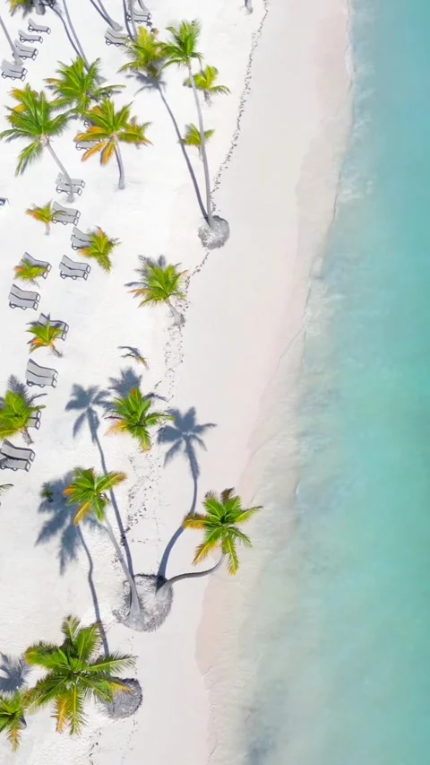 Vertical aerial top view tropical hotel beach with white sand and palm trees 스톡 동영상 291011280