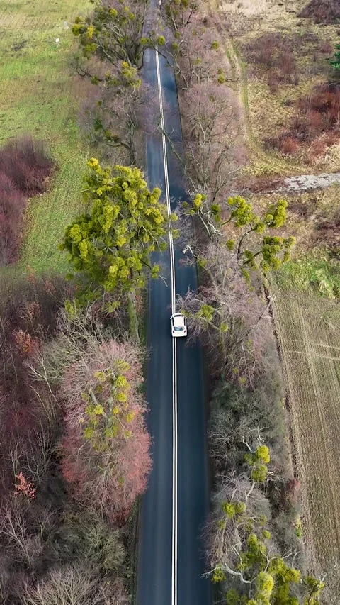 Vertical Aerial Tracking Shot of White Car Driving on Road Through Forest Video stock 323875468