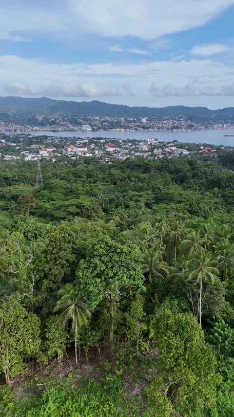 Vertical aerial video Ambon city Taeno village edition 14 Video stock 312915744