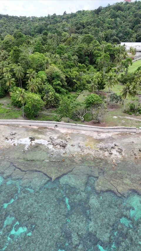 Vertical aerial video beach 3 Video stock 304782486