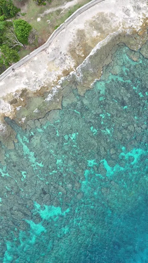 Vertical aerial  video beach with clear water 2 Stock Footage 304544683