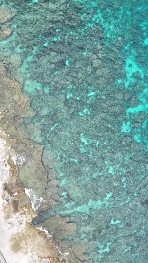 Vertical aerial  video beach with clear water Video stock 304544798