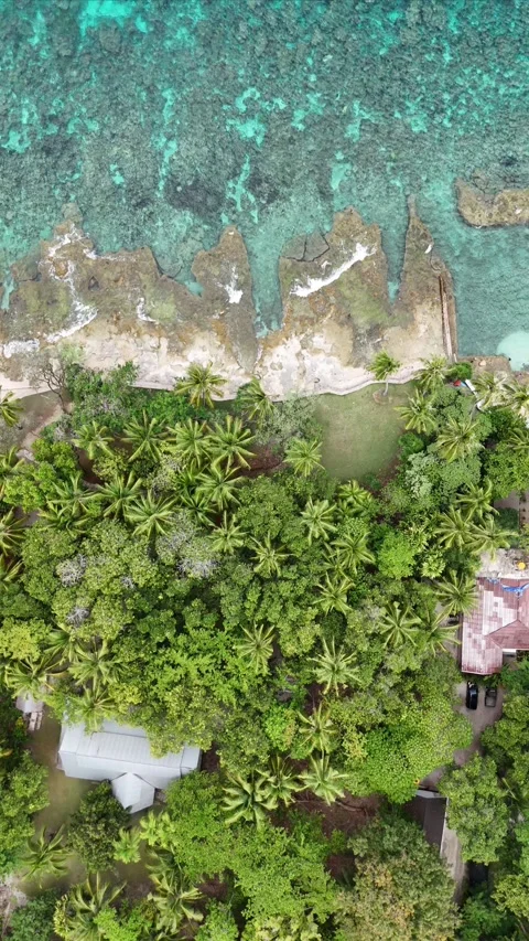 Vertical aerial video beach with clear water 3 Stock Footage 304547828