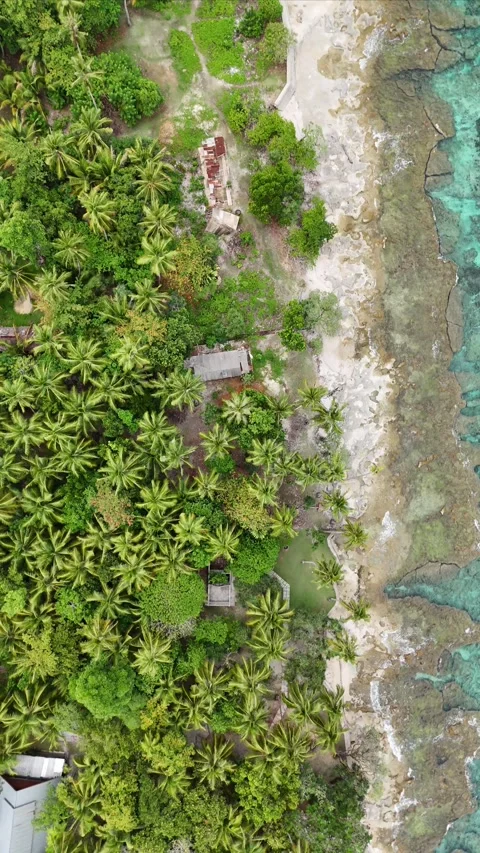 Vertical aerial video beach with clear water 4 Stock Footage 304547848