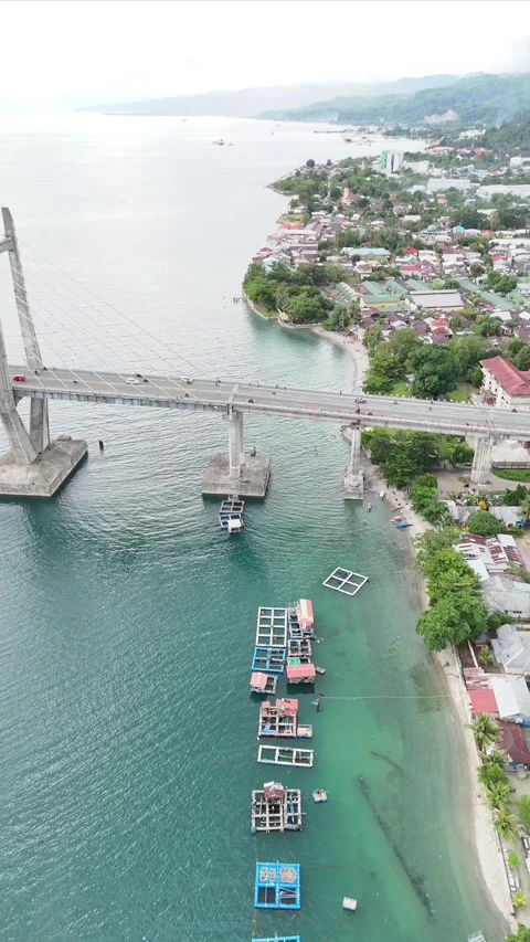 Vertical aerial video bridge 2 Stock Footage 304447830