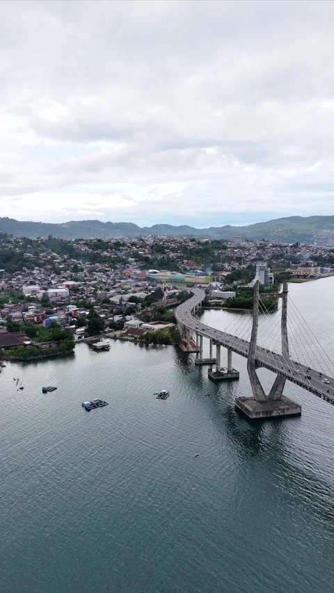 Vertical aerial video bridge 6 Stock Footage 304448142