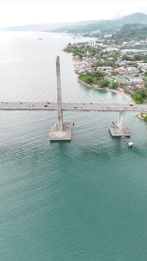 Vertical aerial video bridge Stock Footage 304447552