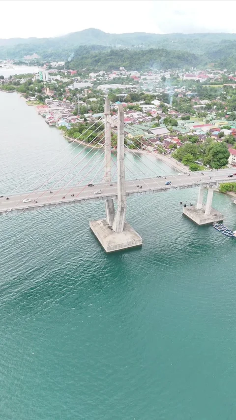 Vertical aerial video bridge Stock Footage 304447553