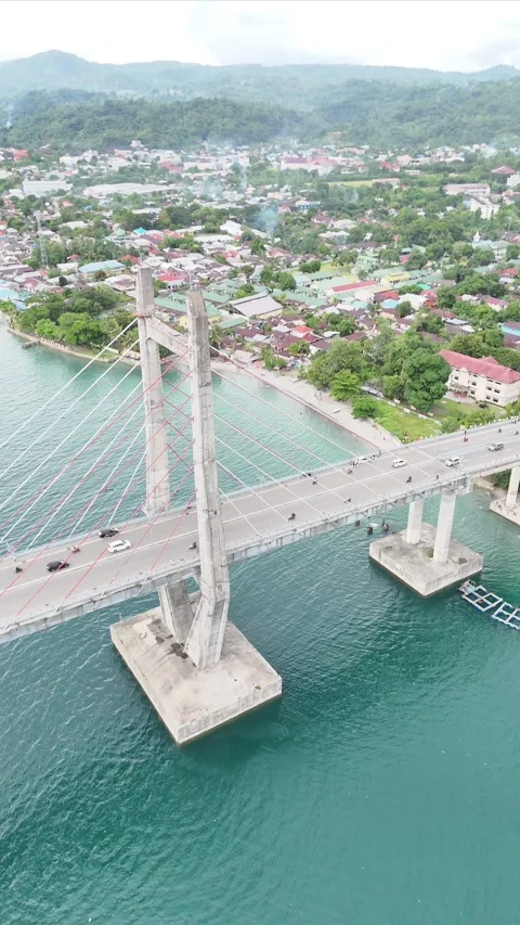 Vertical aerial video bridge Video stock 304447561