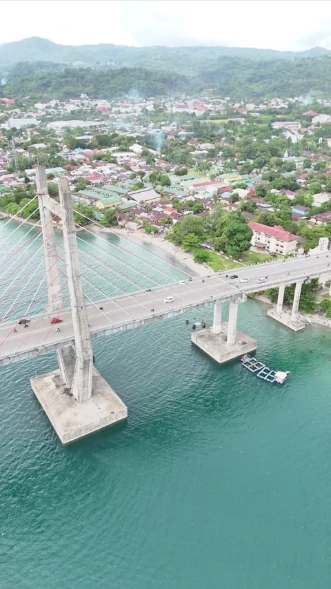 Vertical aerial video bridge Stock Footage 304447585