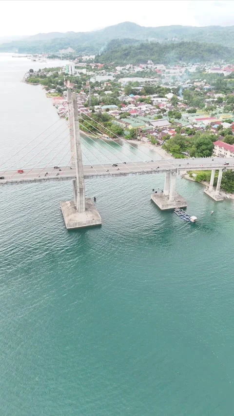 Vertical aerial video bridge Stock Footage 304447699