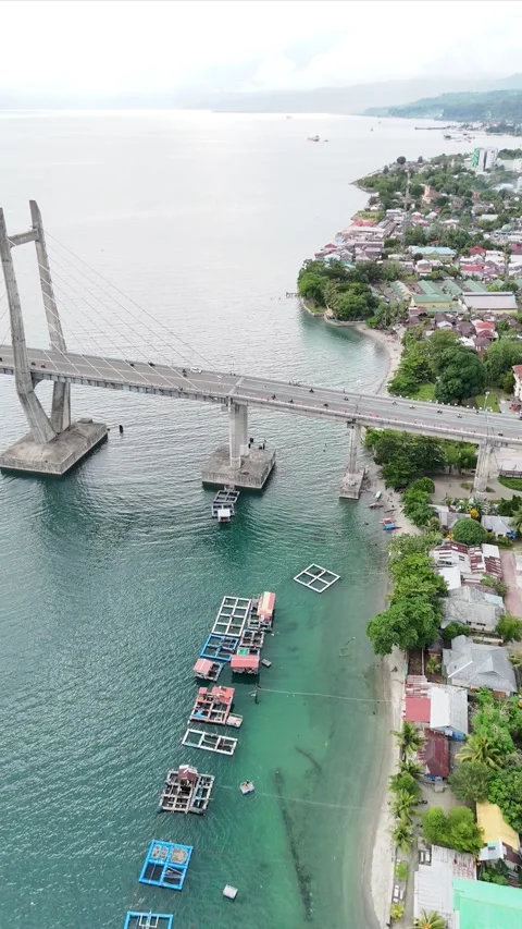 Vertical aerial video bridge Stock Footage 304447815