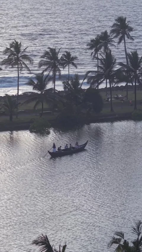 Vertical Aerial View of Backwaters Boat Ride Kerala India Vidéo 333891211