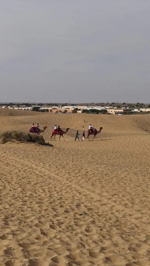 Vertical Aerial View of Camel Ride Tourists in Jaisalmer Rajasthan India Desert 库存影片 334026677