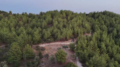 Vertical aerial view of a car driving through mountain pine forest. Stock Footage 327675169