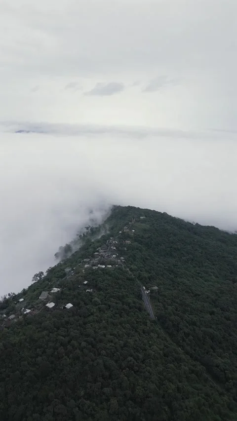 Vertical Aerial View of Cloud Covered Hills in Meghalaya 動画素材 339883327