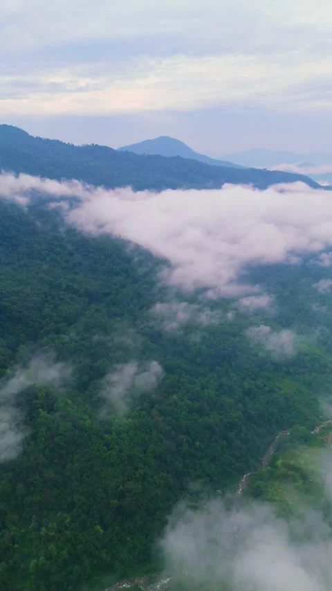 Vertical Aerial view of clouds gently rolling above Gangtok’s dense greenery. Stock Footage 311388278