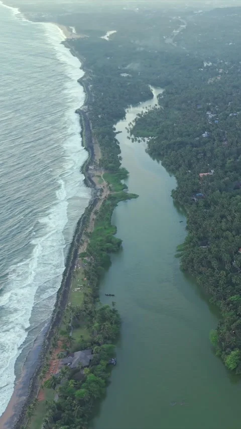 Vertical Aerial View of Coastline with Backwaters in Kerala 库存影片 333892063