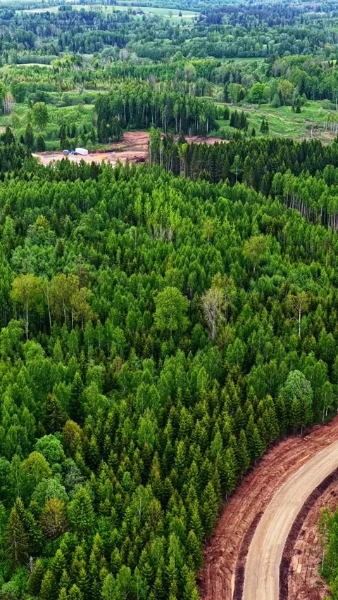 Vertical aerial view of a curved construction access road through dense green Stock Footage 336661687