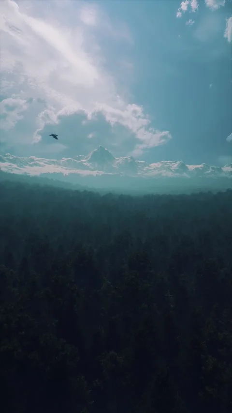 Vertical aerial view of dense pine forest and mountain range with flying bird Stock Footage 338230538