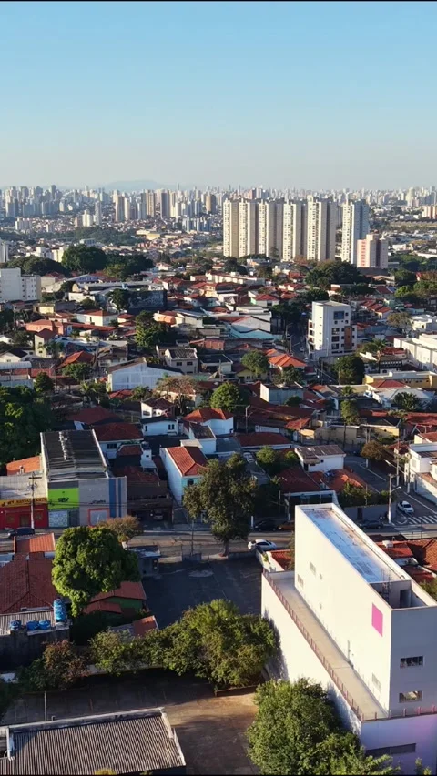 Vertical Aerial View of Dense Urban Neighborhood and Skyline Vídeo Stock 340534961