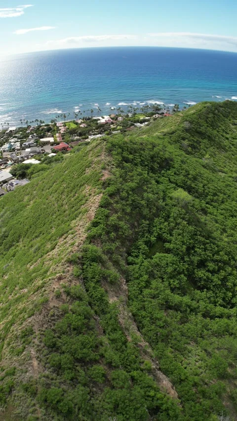 Vertical Aerial View from Diamond Head Ridge, Honolulu Видео 348337113