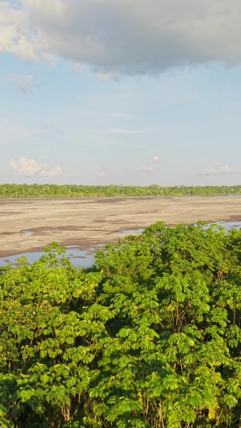 Vertical aerial view of drought stricken riverbed emerging between verdant Stock Footage 308413828
