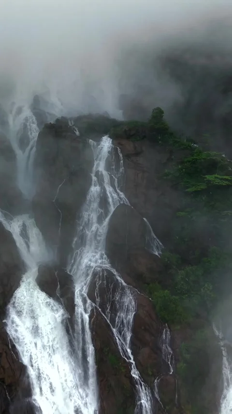 Vertical Aerial View of Dudhsagar Waterfall Surrounded by Lush Forest in Goa Stock Footage 344272824