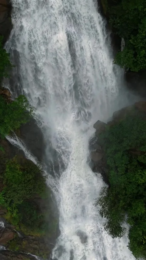 Vertical Aerial View of Dudhsagar Waterfall Surrounded by Lush Forest in Goa Stock Footage 344273036