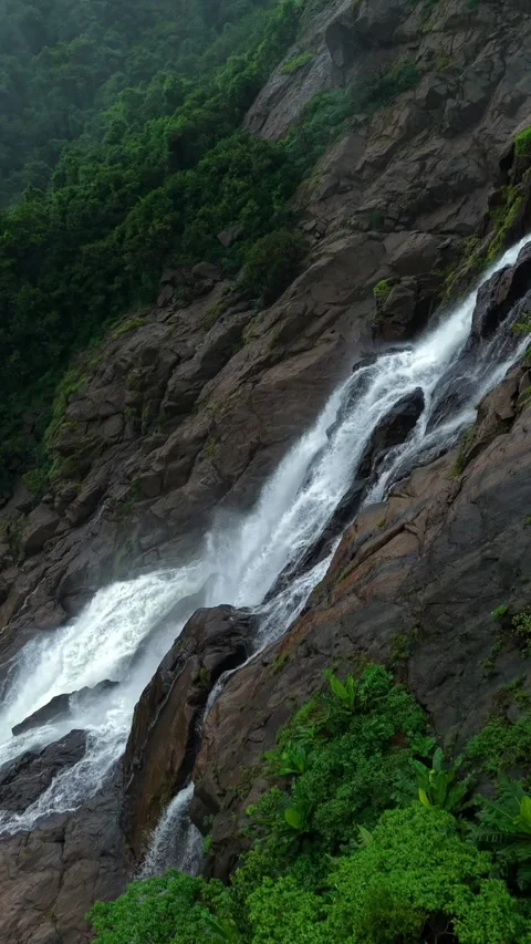 Vertical Aerial View of Dudhsagar Waterfall Surrounded by Lush Forest in Goa Stock Footage 344273037