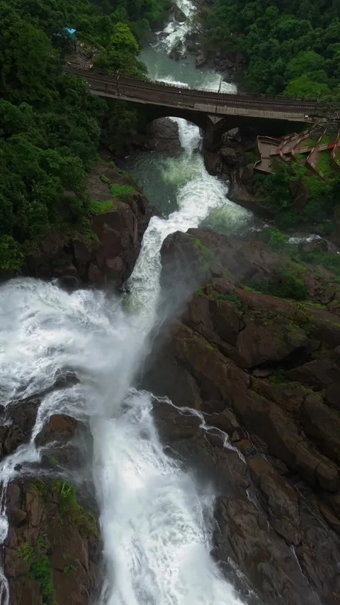 Vertical Aerial View of Dudhsagar Waterfall Surrounded by Lush Forest in Goa Stock Footage 344273063