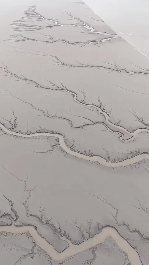 Vertical Aerial View Of Earth Tree Tidal Gullies In Qiantang River 動画素材 334772913