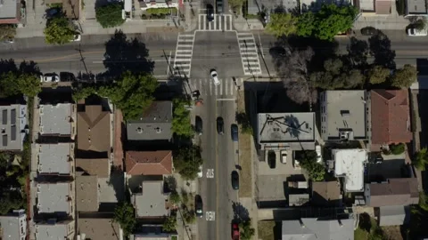 Vertical Aerial View of Echo Park Houses With Long Palm Shadows Stock Footage 346656416