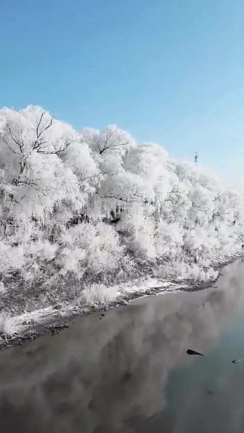 Vertical Aerial View Flying over River with Rime Ice Forest on the Left Video stock 328439639