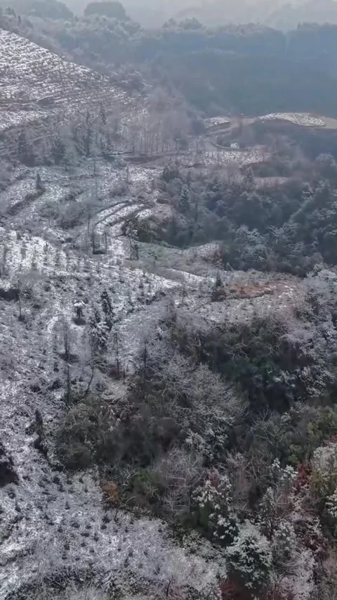 Vertical Aerial View Flying Through Snow-Covered Sandstone Peaks in Zhangjia Video stock 330147384