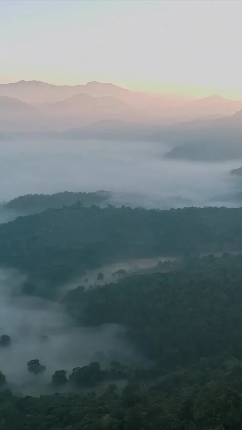 Vertical Aerial View of Forest Hills in Lambasingi, Andhra Pradesh Vídeo Stock 342718952