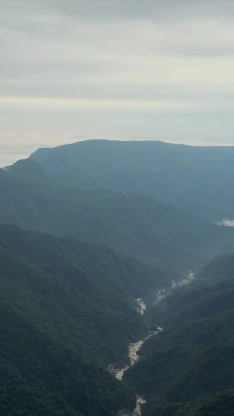 Vertical Aerial View of Forest River Valley in Meghalaya 動画素材 340597709
